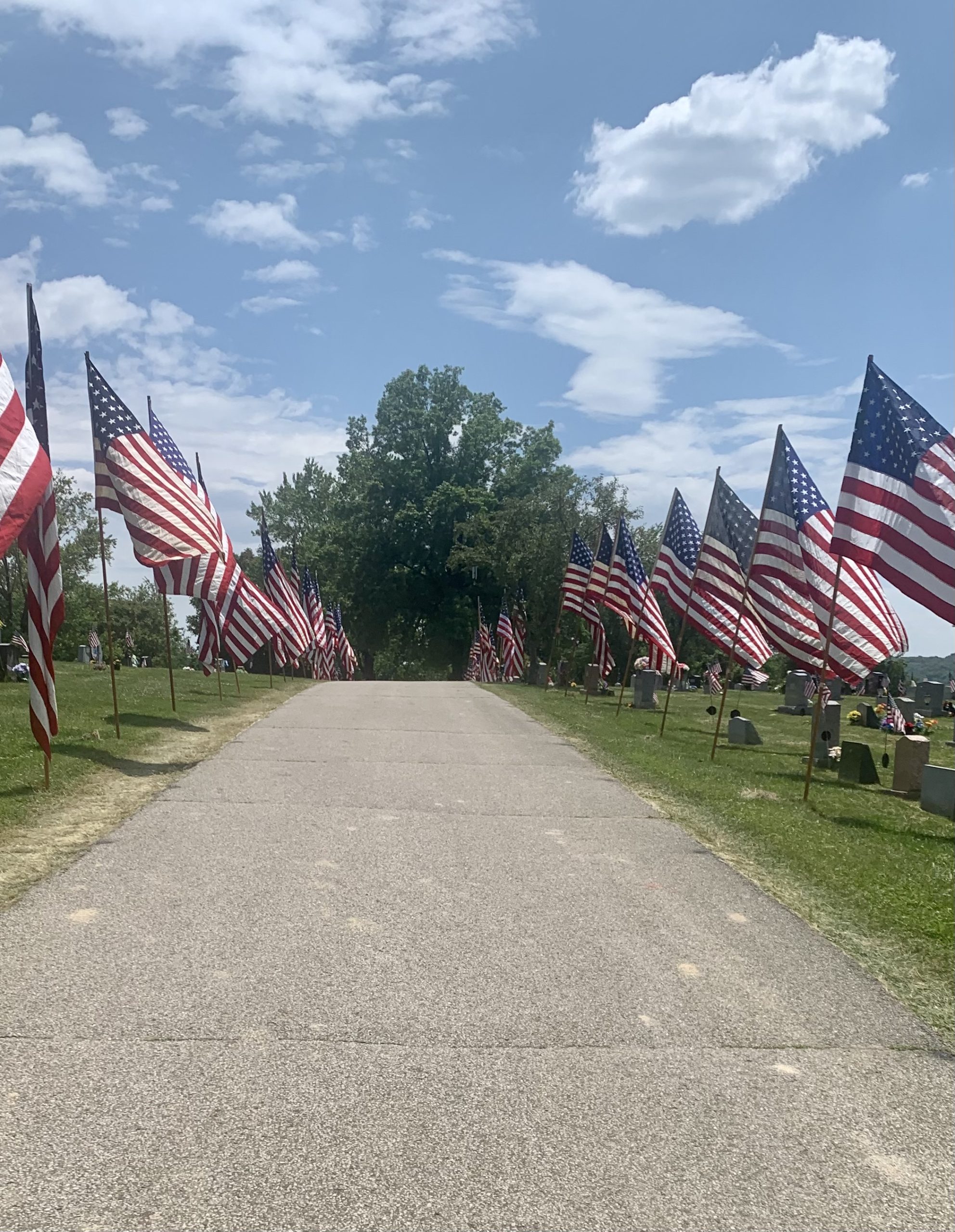NEW CUMBERLAND'S AVENUE OF FLAGS HONORS VETERANS Hometown News